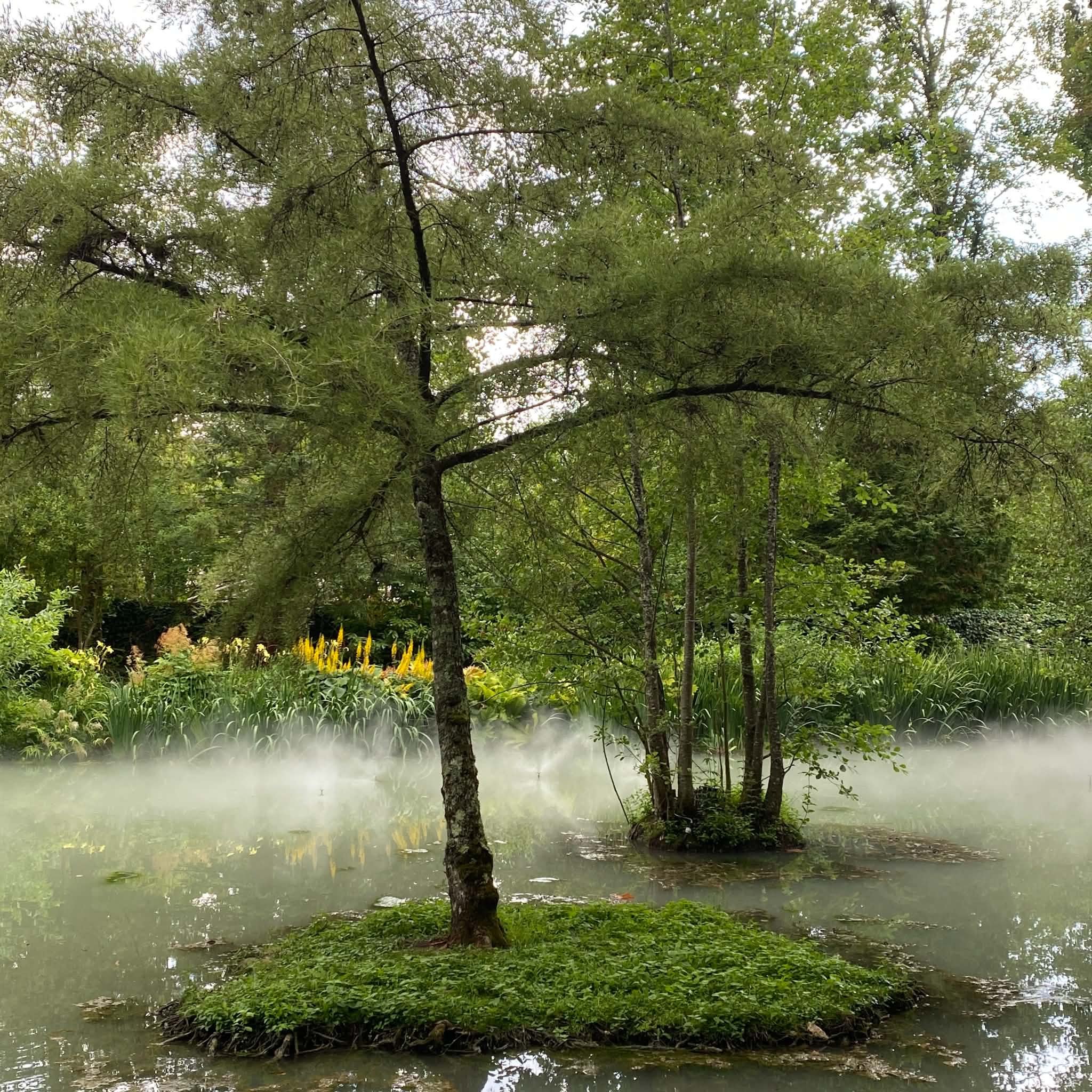 Effet de brume sur l'étang du jardin du Clos Lucé, évoquant l'atmosphère des peintures de Léonard de Vinci