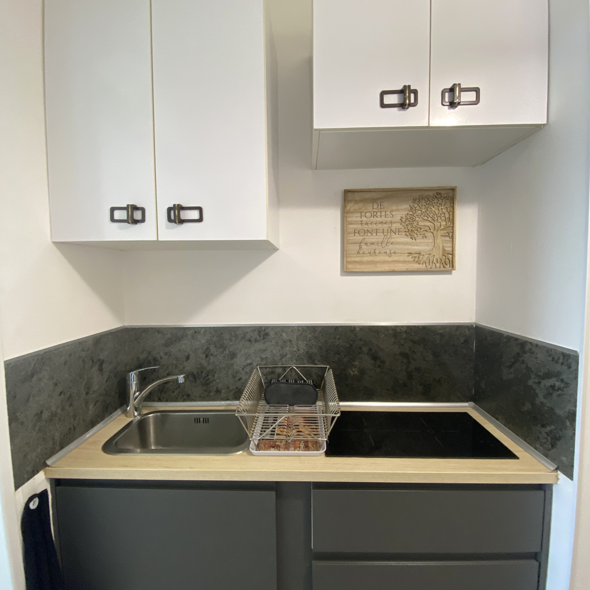 Kitchenette équipée avec plaques de cuisson à induction et toute la vaisselle pour 4 personnes